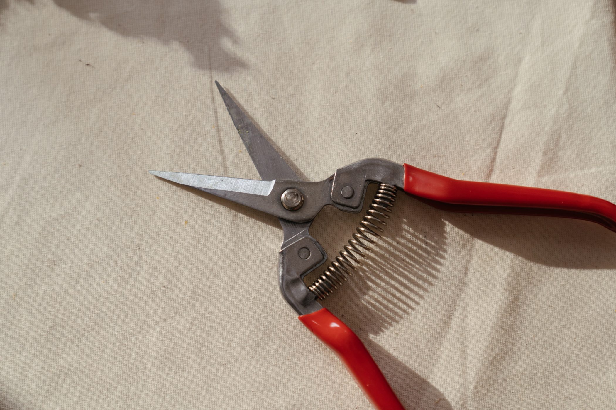 A pair of gardening snips on a cotton sheet