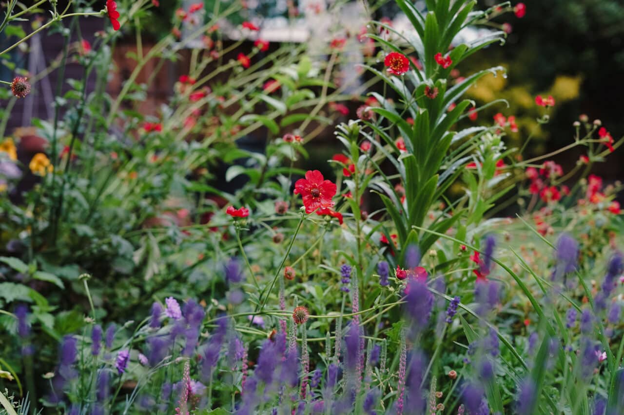 Photo Gallery: Dig Gardens 2022 - Dig