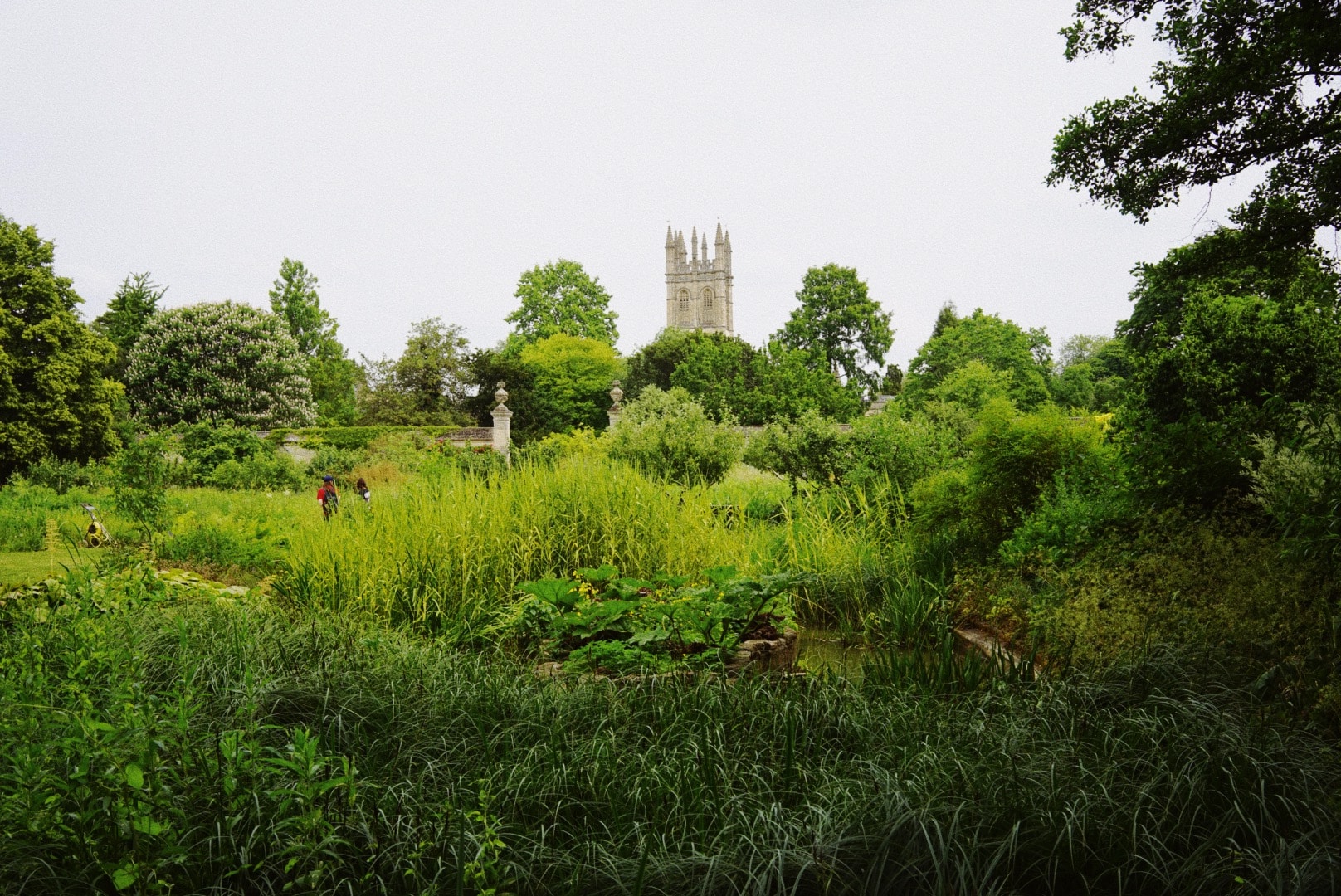 A church on the horizon with Oxford botanic garden in the foreground
