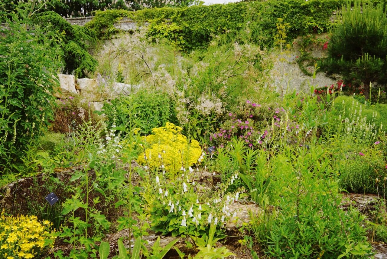 Dreaming Spires Oxford Botanic Gardens Dig