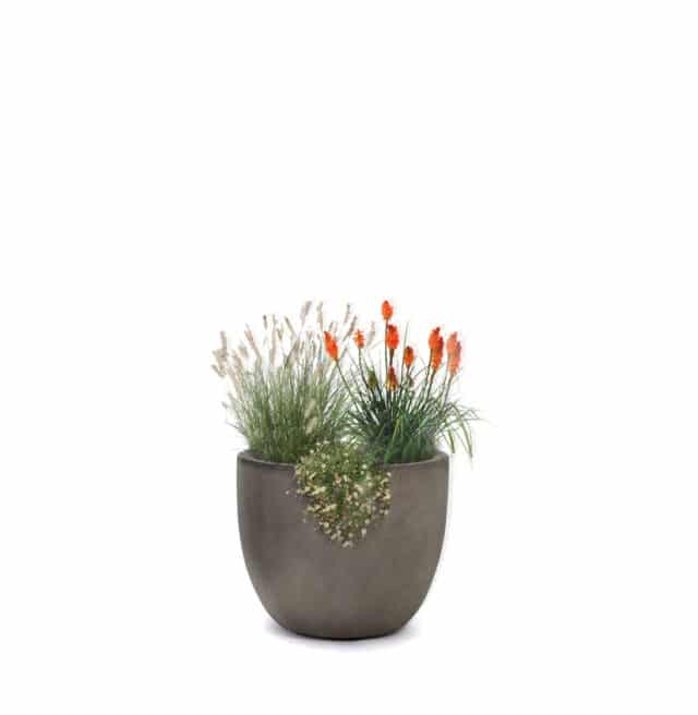 Adventure Collection for Pots