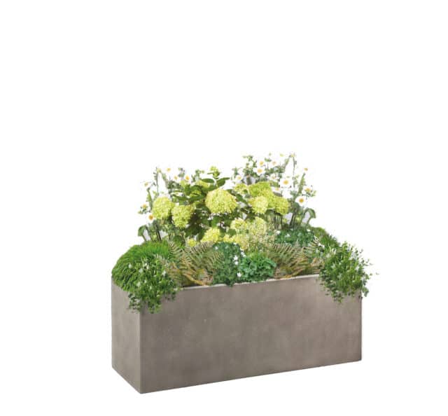 Classic Collections for Planters