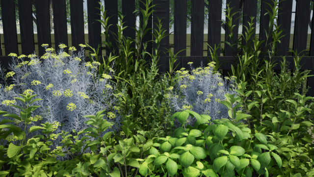 Herbs Galore