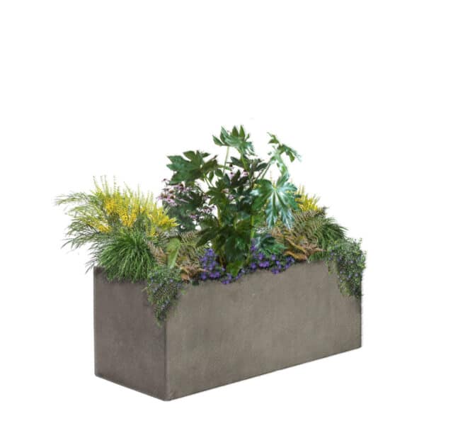 Jungle Collection for Planters