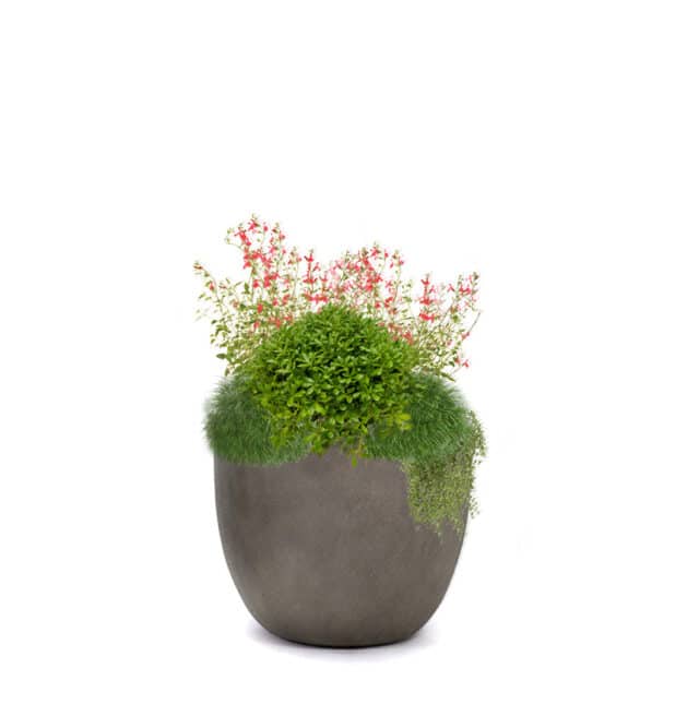 Jungle Collection for Pots