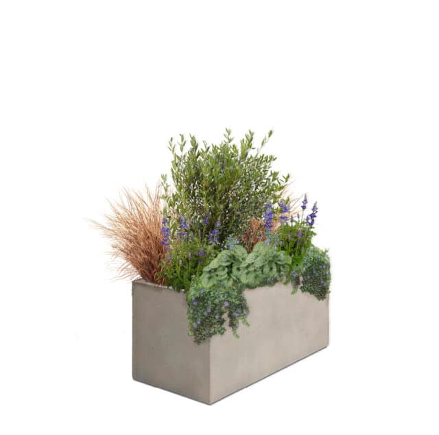 Med Collection for Planters