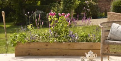 Cottage Bed - Sun Aspect