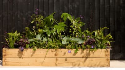 Jungle Bed - Shade