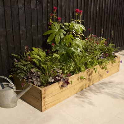 Jungle Bed - Sun