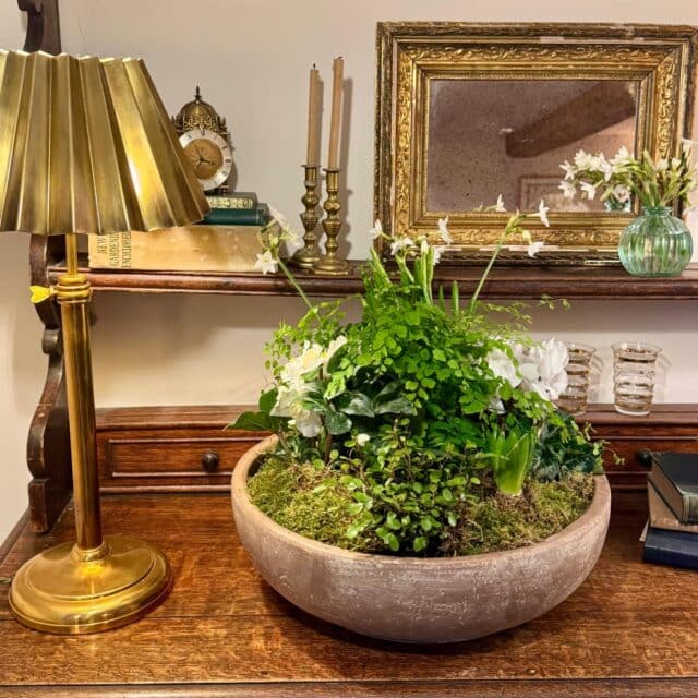 Winter Indoor Collection