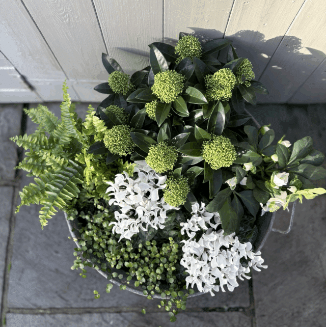 Winter Outdoor Collection for Pots