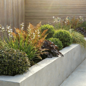 Evergreen Gem Plant Collection for Sun